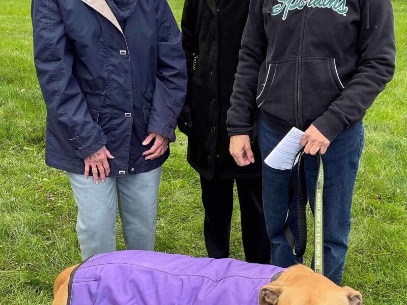 Pets